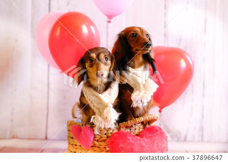 Dax Valentine Heart 37896647