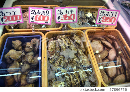 Otaru Triangle Market: Seafood Store Otaru Triangle Market: Seafood Store 37896756