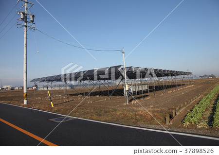 太陽能發電，水稻生產 37898526