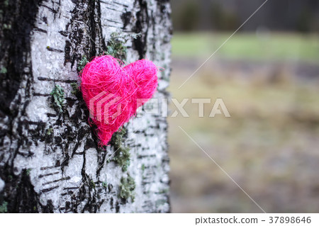 Decorative heart on birch tree bark. Decorative heart on birch tree bark. 37898646
