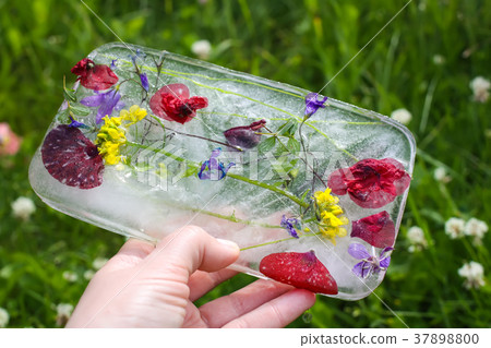 Ice cube with flowers on green grass at summer. 37898800