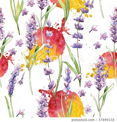 Wildflower lavender flower pattern in a watercolor 37899138