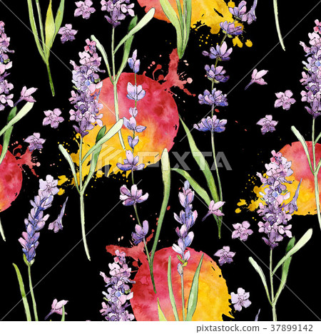 Wildflower lavender flower pattern in a watercolor Wildflower lavender flower pattern in a watercolor 37899142