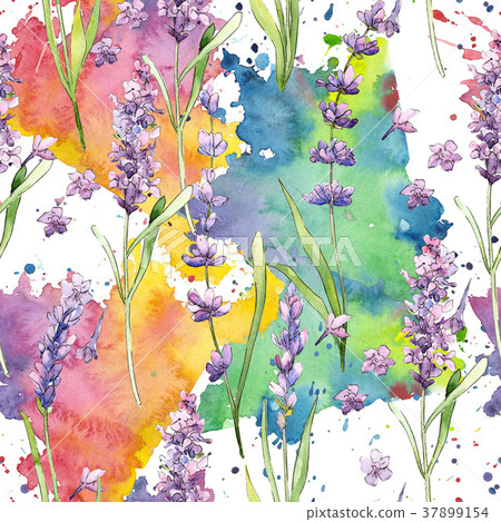 Wildflower lavender flower pattern in a watercolor Wildflower lavender flower pattern in a watercolor 37899154