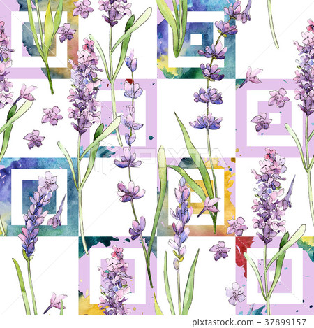 Wildflower lavender flower pattern in a watercolor Wildflower lavender flower pattern in a watercolor 37899157