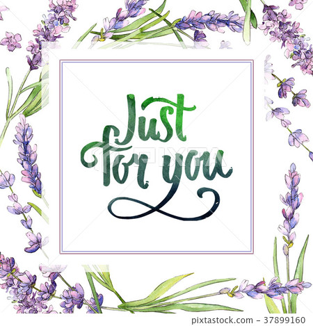 Wildflower lavender flower frame in a watercolor Wildflower lavender flower frame in a watercolor 37899160