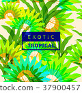 Exotic tropical leaves pattern seamless background 37900457