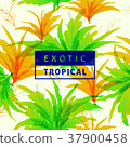 Spring tropical leaves pattern seamless background 37900458