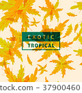 Tropical oak leaves pattern seamless background 37900460