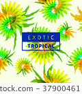 Various tropical leaves pattern seamless 37900461