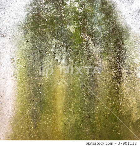 Grungy wall with mold 37901118