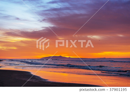 Sea sunset Sea sunset 37901195