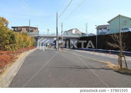 神奈川縣大和市縣道路和房屋 神奈川縣大和市縣道路和房屋 37901505