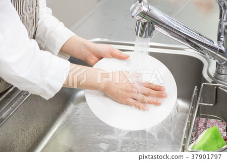 Female hands washing dishes Female hands washing dishes 37901797