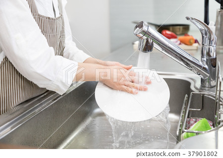 Female hands washing dishes 37901802