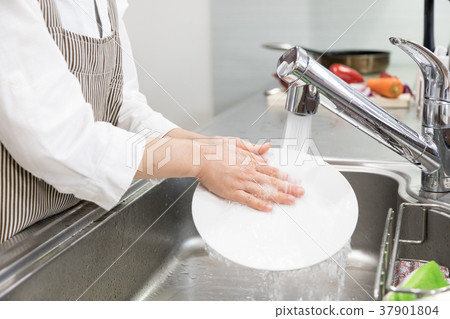 Female hands washing dishes 37901804