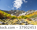 穗高山脈和秋天的落葉 37902453