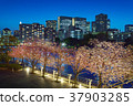 天王洲櫻花 37903285