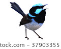 一隻鳥 37903355