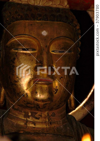 Shino Kokubun-ji Temple(十月)歡迎光臨 Shino Kokubun-ji Temple(十月)歡迎光臨 37903780