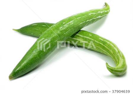 Snake gourd isolated 37904639
