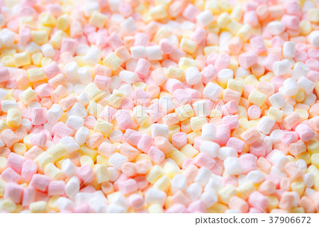 棉花糖 棉花糖 37906672