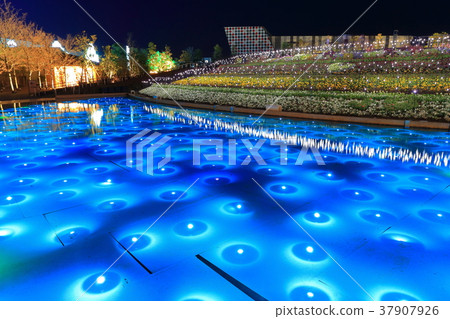 拉古納照明水下照明 拉古納照明水下照明 37907926