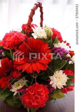 Flower Basket (flower basket, flower basket) Flower Basket (flower basket, flower basket) 37908481