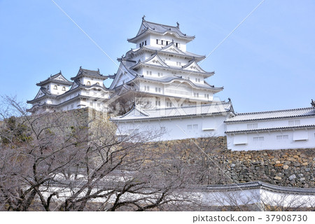 世界遺產姬路城國寶姬路城堡白馬城堡 37908730