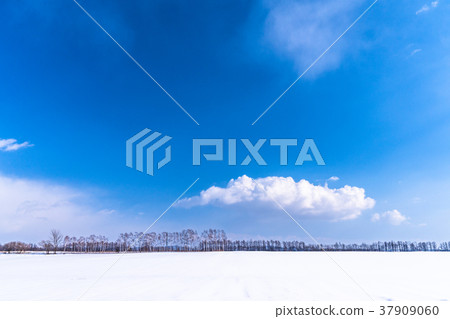 "Hokkaido" Countryside scenery covered with winter land and snow "Hokkaido" Countryside scenery covered with winter land and snow 37909060