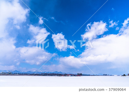 “北海道”鄉村風景覆蓋著冬季的土地和雪 37909064
