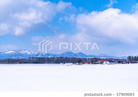 “北海道”鄉村風景覆蓋著冬季的土地和雪 “北海道”鄉村風景覆蓋著冬季的土地和雪 37909065