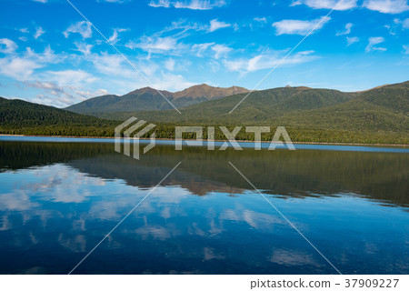 Lake Te Anau 37909227