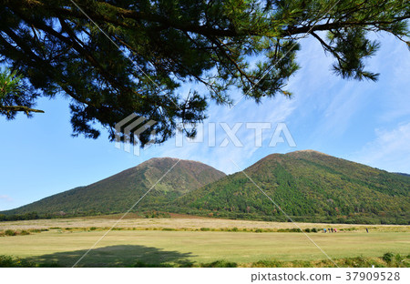 桑巴山 37909528