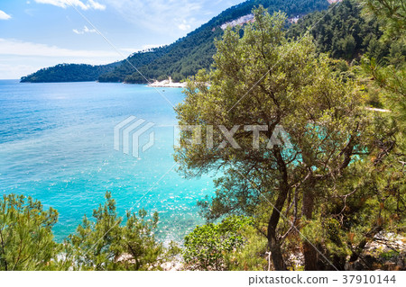 turquoise sea water bay, mountains, pine trees 37910144