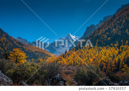 Yading Nature Reserve, Sichuan province of China Yading Nature Reserve, Sichuan province of China 37910357