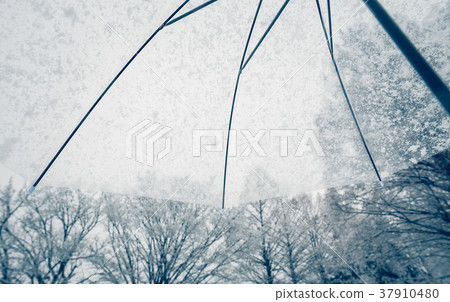 下雪天 下雪天 37910480