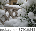 在花園裡下雪 37910843