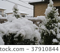 在花園裡下雪 37910844