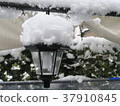 在花園裡下雪 37910845