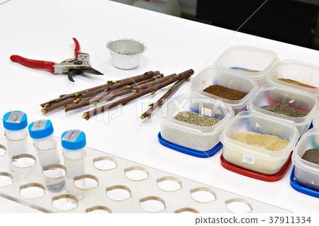 Samples for research in biochemical laboratory Samples for research in biochemical laboratory 37911334
