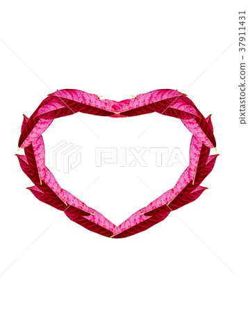 Beautiful red leaves heart shape on white Beautiful red leaves heart shape on white 37911431
