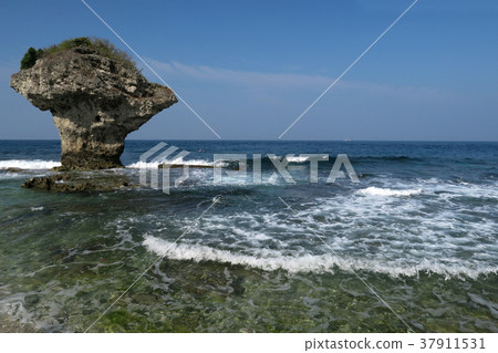岩石 珊瑚礁岩 海 海浪 花瓶岩 小琉球 東港 台灣 37911531