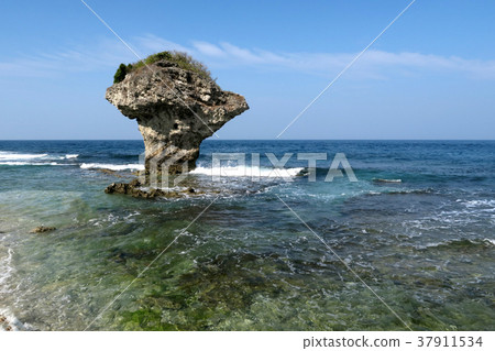 Rock coral reef sea sea wave vase rock small croquet east port taiwan 37911534