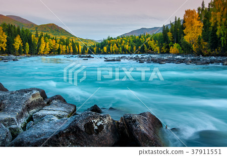 The Kanas Lake at Autumn, Xinjiang, China 37911551