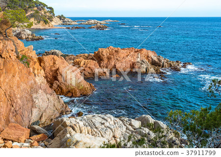 Nice detail from Costa Brava coastal in Spain 37911799