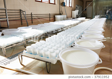 Milk for production of soft cheese 37911952