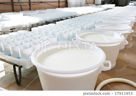 Milk for production of soft cheese Milk for production of soft cheese 37911953