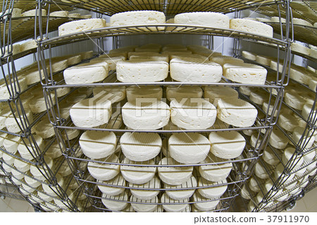 Cheese factory warehouse with shelves of product 37911970