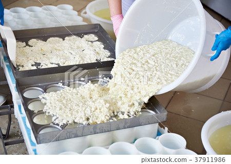 Factory workers fill molds for production 37911986